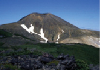 jvgus7.tif