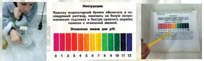 ayshin_7.jpg