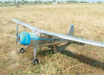 bandurina_r1.jpg