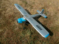 bandurina_r6.jpg