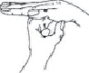 gusarova2_9.jpg