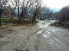 merkulov_r17.jpg