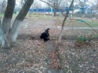 merkulov_r18.jpg