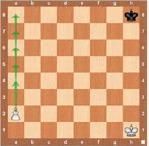 chehnev_7a.jpg