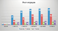 orlov_d2.eps