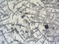 missing image file