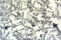 missing image file