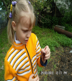 missing image file