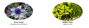 plants2.tif