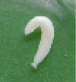r9.1.tif