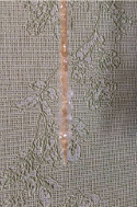 palk11b.tif