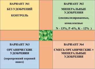 Какой тип питания характерен для капустной белянки изображенной на рисунке обоснуйте свой ответ