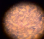 pr2.tif