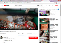 bo2.tiff