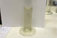 golubtsova1 (3).tiff