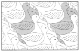 kuv1 (111).tiff