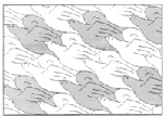 kuv1 (112).tiff