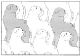 kuv1 (113).tiff