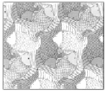 kuv1 (119).tiff