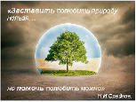 pomel22.tif