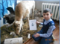 abdul(3).tiff
