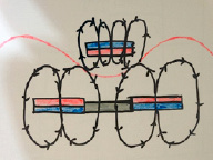 zyab(3).tiff
