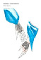 olk4.tif