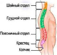 sil2.tif