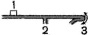 sem55.tif