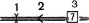 sem59.tif