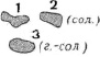 sem74.tif