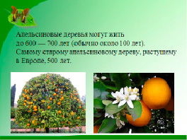 okot20.tif