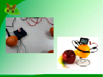 okot31.tif