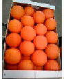 okot6.tif