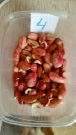 bogd101.tif