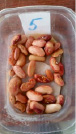 bogd102.tif