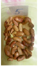 bogd107.tif