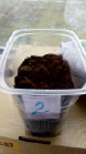 bogd110.tif