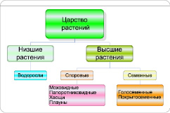 bogd11.wmf