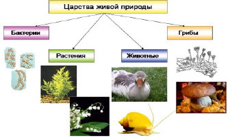 Животные 5 класс биология фгос пономарева презентация