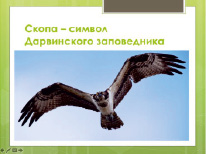 nik7_1.tif