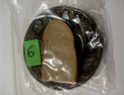 patr31.tif