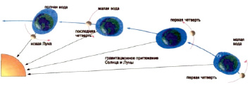 missing image file