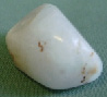 сcher-11.tif