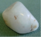 сcher-11.tif