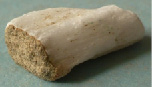 сcher-12.tif