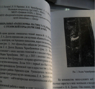сcher-15.tif
