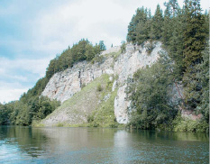 сcher-25.tif