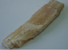сcher-3.tif