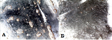 dav-5.tif